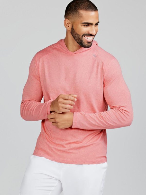 Sweetpeter.shop02cfd72cfb 2