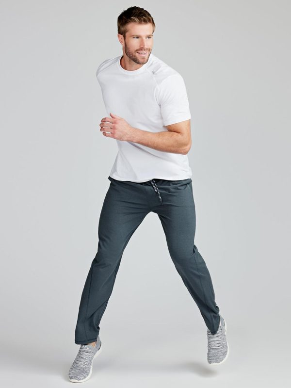 Sweetpeter.shop5397fe66e1 4