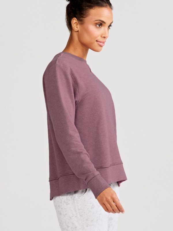 Sweetpeter.shop80d5e962a5 2