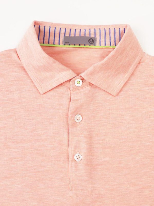 Sweetpeter.shop8b4100d335 1