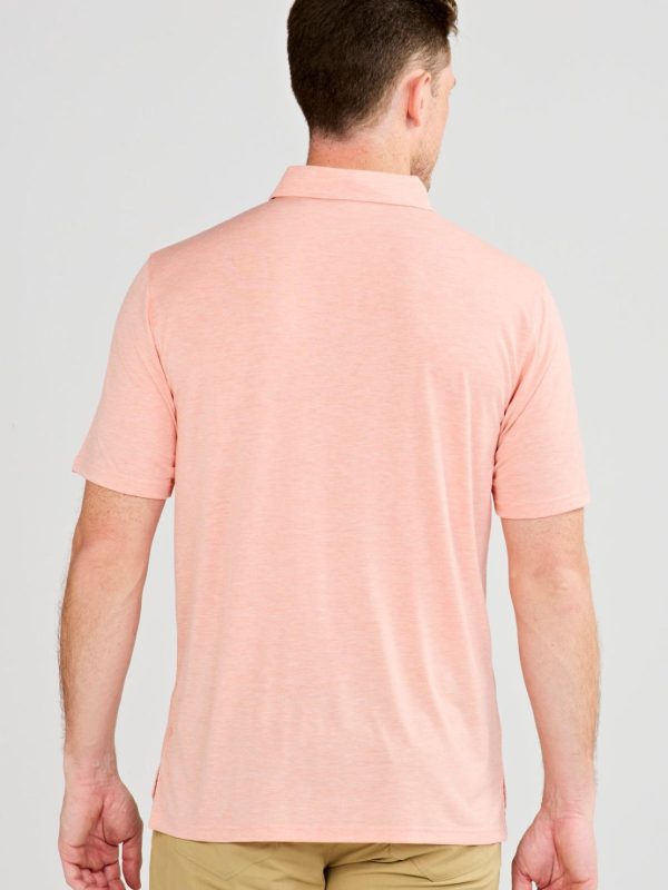 Sweetpeter.shop8b4100d335 4