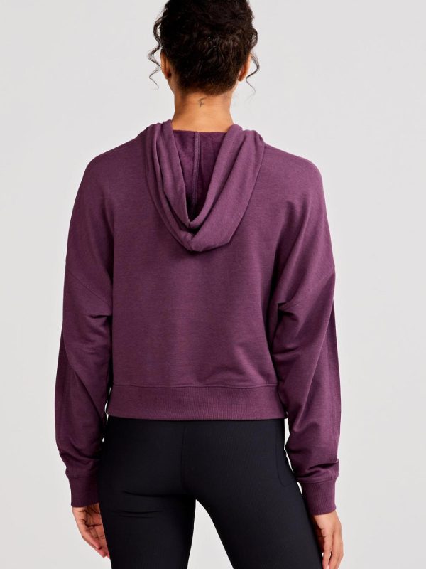 Sweetpeter.shopd5cb3cc0c6 3